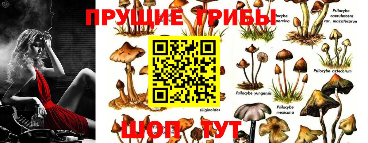 Псилоцибиновые грибы MAGIC MUSHROOMS Астрахань